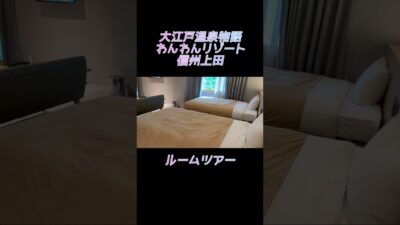 大江戸温泉物語わんわんリゾート信州上田ルームツアー！#shorts #犬と泊まれる宿 #犬連れ旅行 #ルームツアー