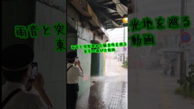 豪雨の時だけ楽しめる東京の観光案内雨音を添えて、もちろん傘をさしててもびしょびしょになったよ#観光 #豪雨#滝 #アクティビティ#shorts