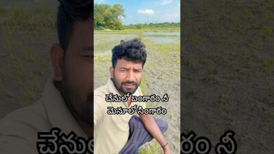 చేనులో ఏముంది #trending #viral #youtubeshorts #forming @PMcreatives8006