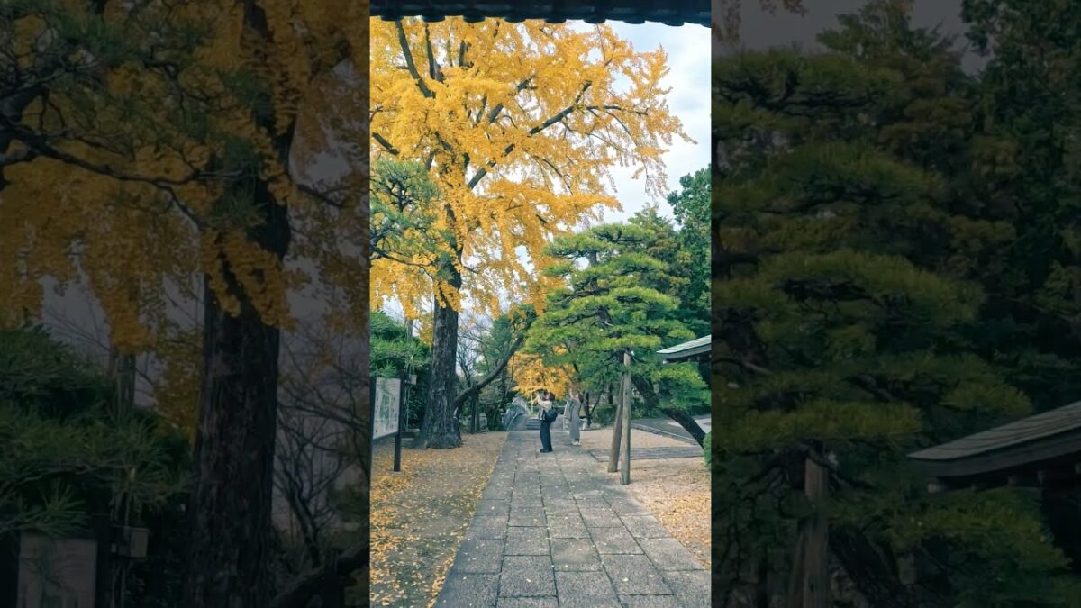 【お寺】福岡県　梅林寺
