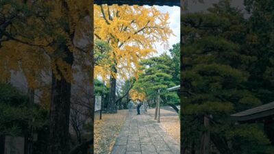 【お寺】福岡県　梅林寺