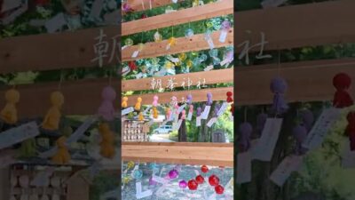 【朝峯神社 ・ 高知】🎐風に揺れる音色が、夏を涼やかに彩ります。