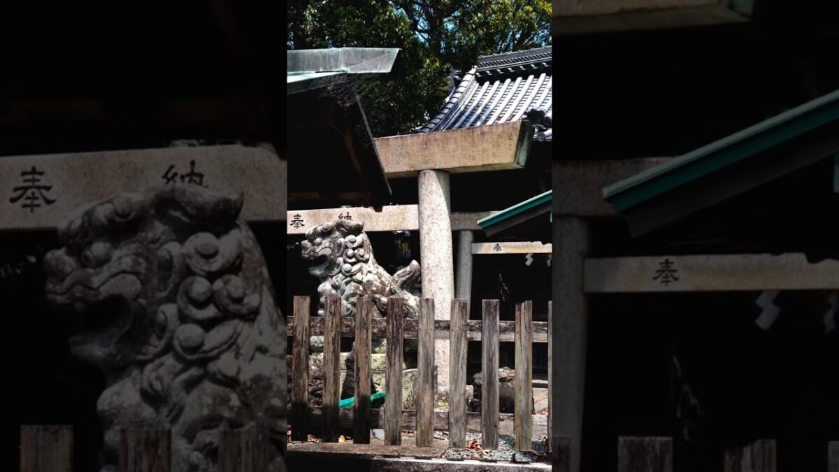 【海とともに歩んできた鎮守の社⛩️】松ヶ崎神社｜三重県松阪市
