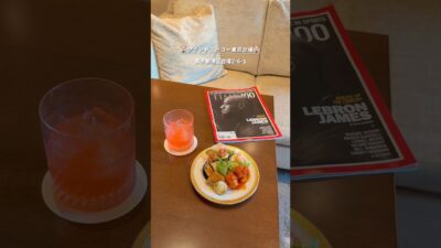この高級感、反則…。グランドニッコー東京台場宿泊記✨