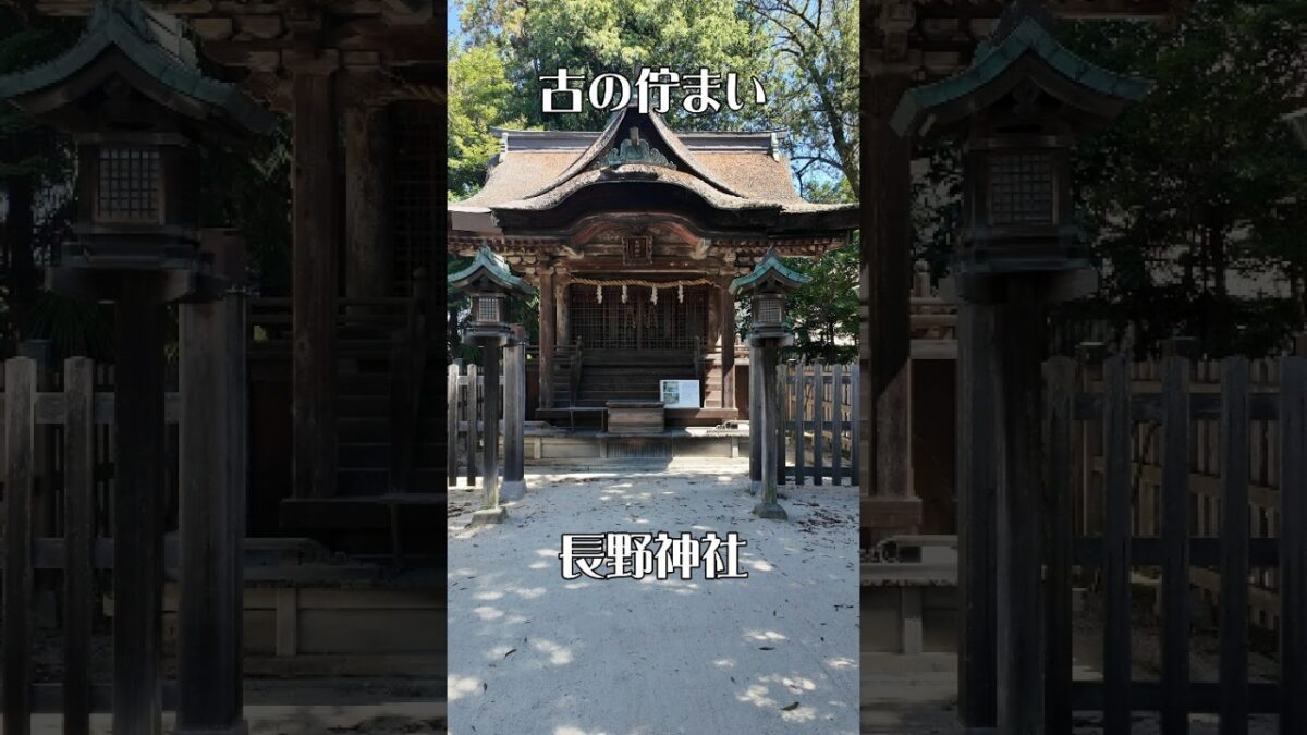 【悠久の時】長野神社（大阪・河内長野市）｜歴史が息づく癒やしの社 #パワースポット神社