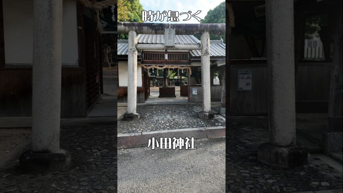 【時を感じる】小田神社（和歌山・橋本市）｜ 心安らぐ癒やしのひととき