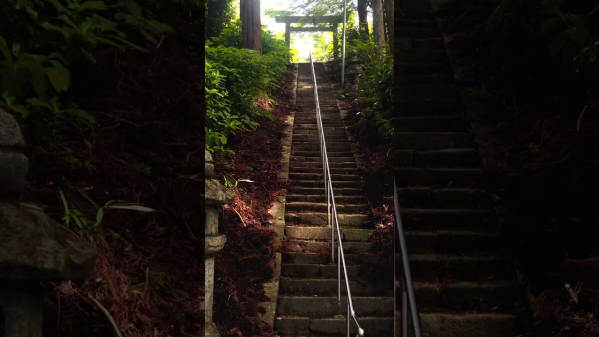 【静寂に佇む津の古社⛩️】事忌神社｜三重県津市芸濃町椋本