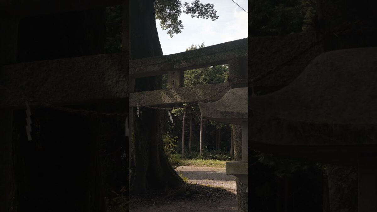 【椋本の鎮守さま⛩️】歴史と祈りが息づく椋本神社｜三重県津市芸濃町