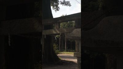 【椋本の鎮守さま⛩️】歴史と祈りが息づく椋本神社｜三重県津市芸濃町