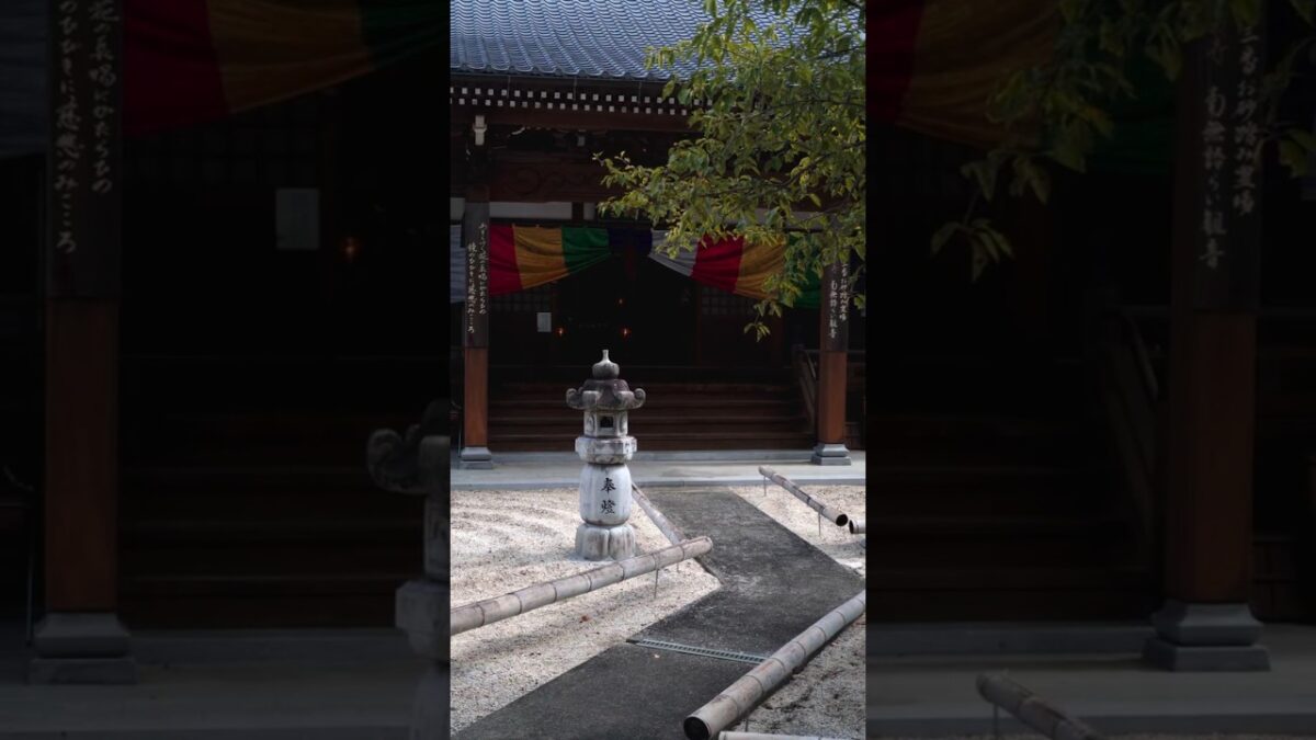【八百万の神が宿る場所🙏】閑翁寺｜静寂の中に感じる日本の祈り