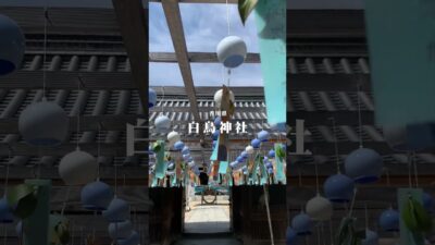 白鳥神社の夏の風物詩「梛木の葉風鈴」🎐 #神社仏閣巡り #御朱印巡り
