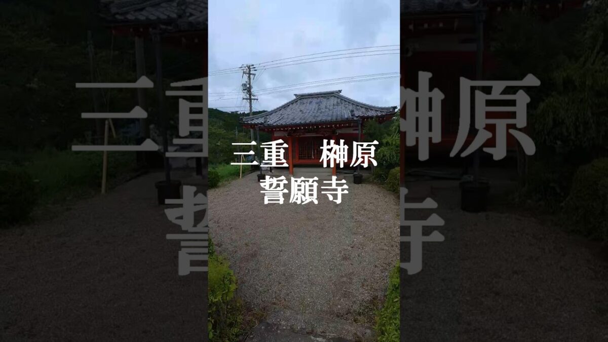 【🙏誓願寺｜三重県津市榊原町🏯】 #パワースポット #神社参拝＃開運＃金運