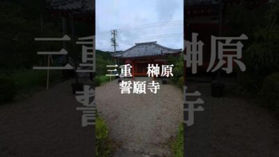 【🙏誓願寺｜三重県津市榊原町🏯】 #パワースポット #神社参拝＃開運＃金運