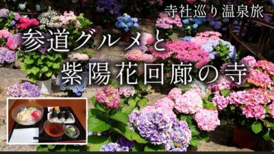 【奈良 桜井】参道グルメに舌鼓！ 豊臣兄弟と紫陽花の寺「総本山 長谷寺」【二人旅】寺社巡り温泉旅