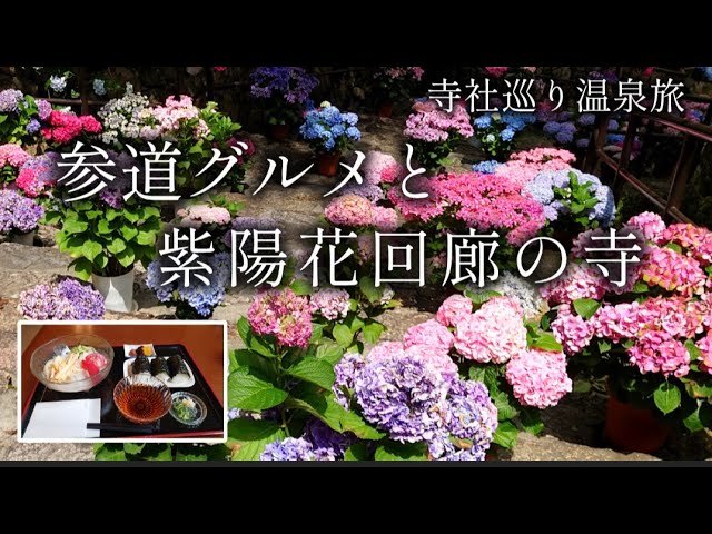 【奈良 桜井】参道グルメに舌鼓！ 豊臣兄弟と紫陽花の寺「総本山 長谷寺」【二人旅】寺社巡り温泉旅