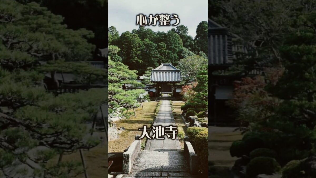 【静けさに包まれる】大池寺（滋賀・甲賀市）｜心安らぐ癒やしの古刹