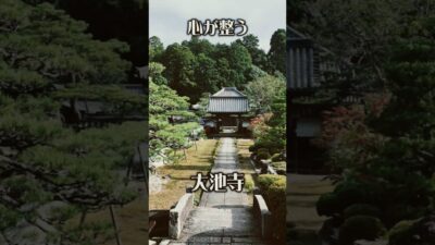 【静けさに包まれる】大池寺（滋賀・甲賀市）｜心安らぐ癒やしの古刹