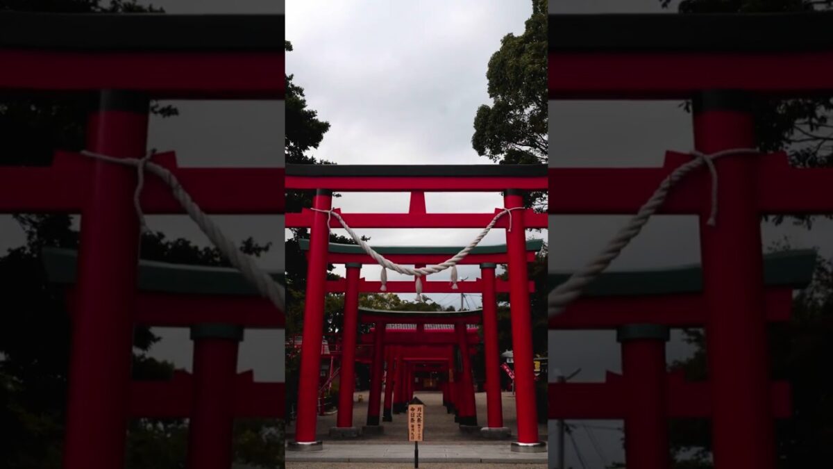 【赤い鳥居が連なる神秘の社⛩️】海山道神社｜三重県四日市市
