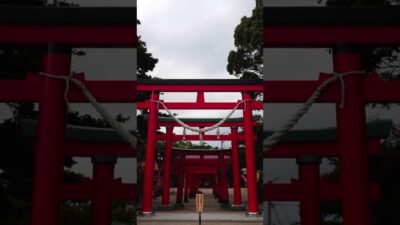 【赤い鳥居が連なる神秘の社⛩️】海山道神社｜三重県四日市市
