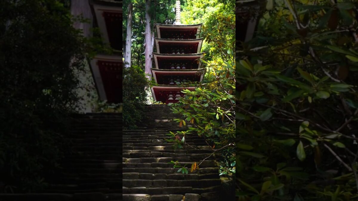【深い山に佇む女人高野🙏】室生寺｜静寂に包まれた五重塔と祈りの古刹