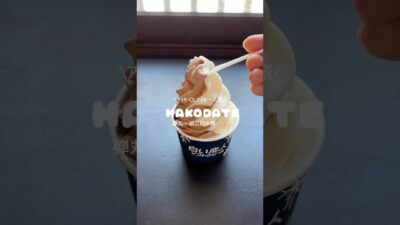 一人で函館に一泊二日の弾丸で旅行してきました♪久しぶりの一人旅にテンションが上がりました。#女一人旅 #アラサー女子 #函館旅行 #北海道旅 #アラサーママ #新幹線旅行 #育休中 #温泉