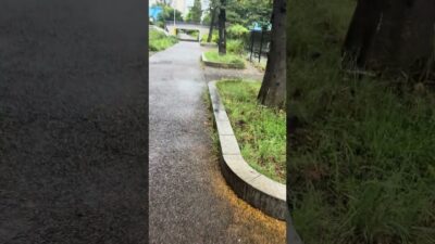 雨の公園散歩