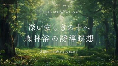 【瞑想10分+BGM20分】木漏れ日の森の中へ 森林浴の誘導瞑想｜自然音｜リラックス｜睡眠導入
