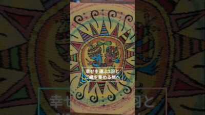【新登場】幸せを運ぶ2羽のとりちゃんと御朱印巡り🌷約1300年の歴史「桐生織」で作った特別な御朱印帳｜pipi #shorts