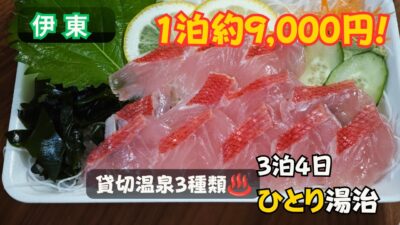 【伊東温泉】3種類の貸切風呂を満喫♨️ 1泊約9,000円の宿で3泊4日ひとり湯治｜地元の魚屋・肉屋グルメを楽しむ男一人旅