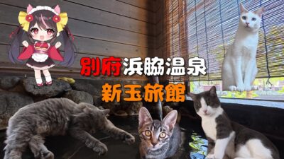 【4K】猫ちゃんがいっぱい！温泉が最高！別府浜脇温泉の新玉旅館に宿泊したら天国すぎた…【大分編３】