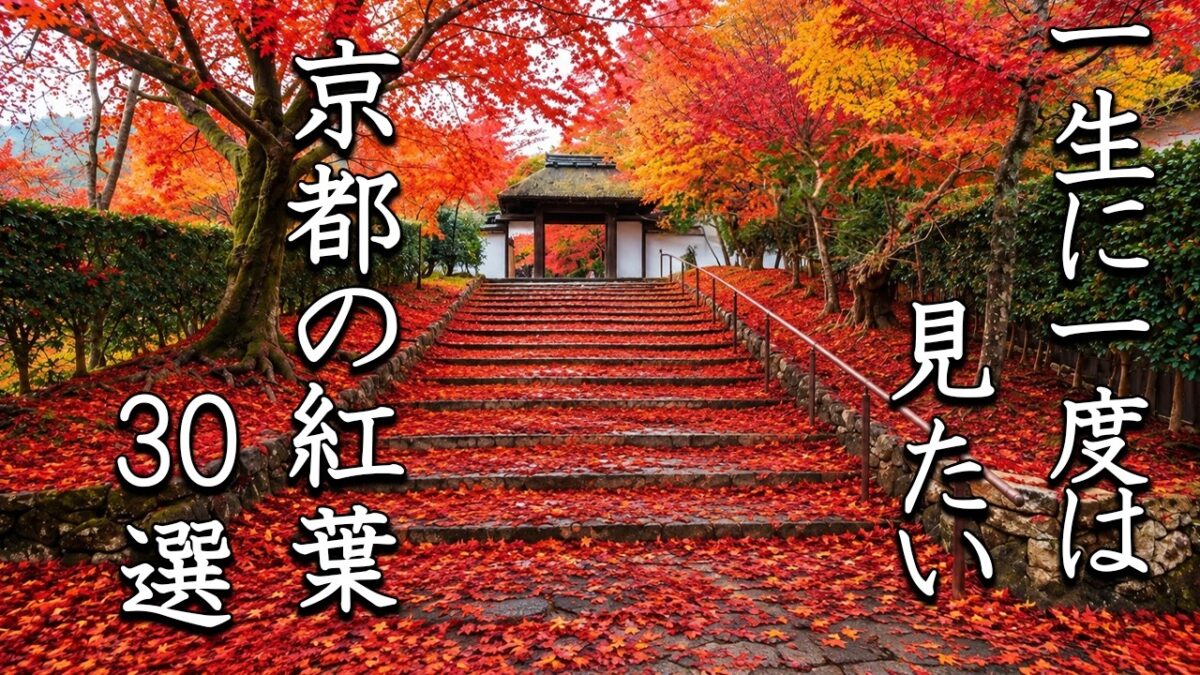 【4K】京都の紅葉30選｜一度は見たい、古都を彩る絶景
