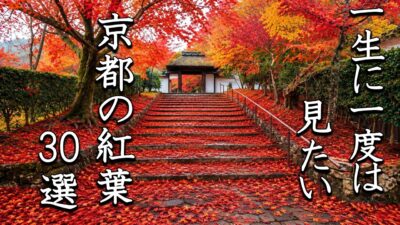 【4K】京都の紅葉30選｜一度は見たい、古都を彩る絶景