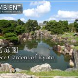 【4K・環境動画】京都の名庭園（3）二条城二の丸庭園、大仙院庭園、光明院の波心庭など７つのお庭を巡ります。日本庭園の美をご堪能ください。[No.725]