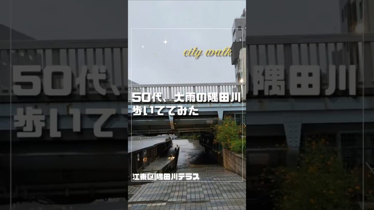 【50代の雨さんぽ】台風接近中、大雨の隅田川テラスを歩いてみた｜江東区