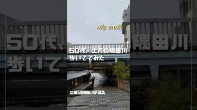【50代の雨さんぽ】台風接近中、大雨の隅田川テラスを歩いてみた｜江東区