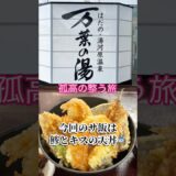 【はだの・湯河原温泉 万葉の湯 神奈川】60代ひとり旅 | サウナ飯 | グルメ旅 | 一人旅 | サ活 | サウナー | 孤高の整う旅 #ランチ #旅行 #温泉 #サ旅 #サ飯 #飲み放題