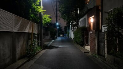 A Quiet Walk in Japan at Night