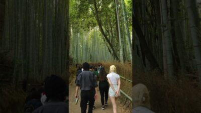 Arashiyama Bamboo Grove Kyoto 🎋 | Japan’s Magical Bamboo Forest in 4K #Shorts