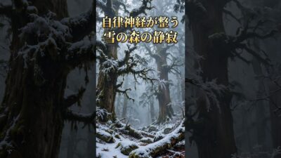 木漏れ日と雪の森の癒し 森林浴で心が安らぐBGM #shorts
