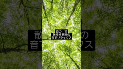 【森林浴BGM】森の中を歩いているような癒しの自然音｜リラックス・睡眠・作業用BGM