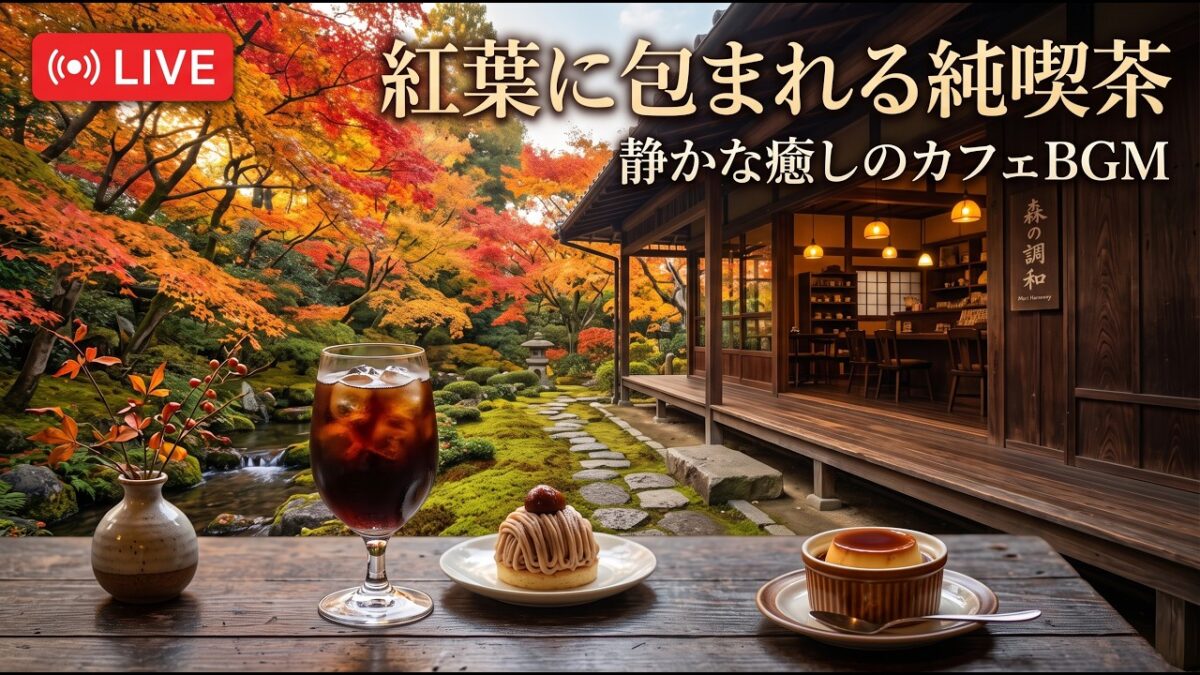森のせせらぎを聴く小さな純喫茶｜【カフェBGM】珈琲と緑に包まれる静かな癒し時間｜作業・読書・リラックス｜LIVE#カフェBGM #せせらぎBGM #癒しBGM #RelaxingCafeMusic