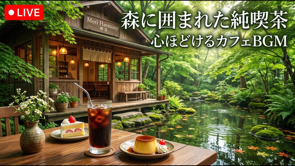 森の高台にある隠れ家純喫茶｜【カフェBGM】山々の景色と珈琲に癒される静かな午後｜作業・読書・リラックス｜LIVE#カフェBGM #森カフェ #癒しBGM #RelaxingCafeMusic