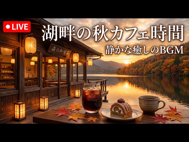 森の夕暮れに灯る隠れ家純喫茶｜【カフェBGM】温かな珈琲と静かな森に癒される時間｜作業・読書・リラックス｜LIVE#カフェBGM #森カフェ #癒しBGM #RelaxingCafeMusic