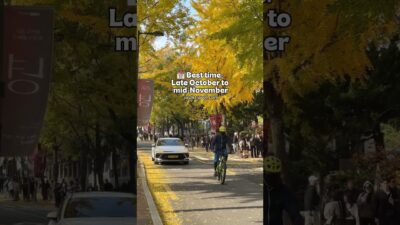 🍁 Best Local & Hidden Places to See Autumn Leaves in Seoul (2026 Guide) 🍂