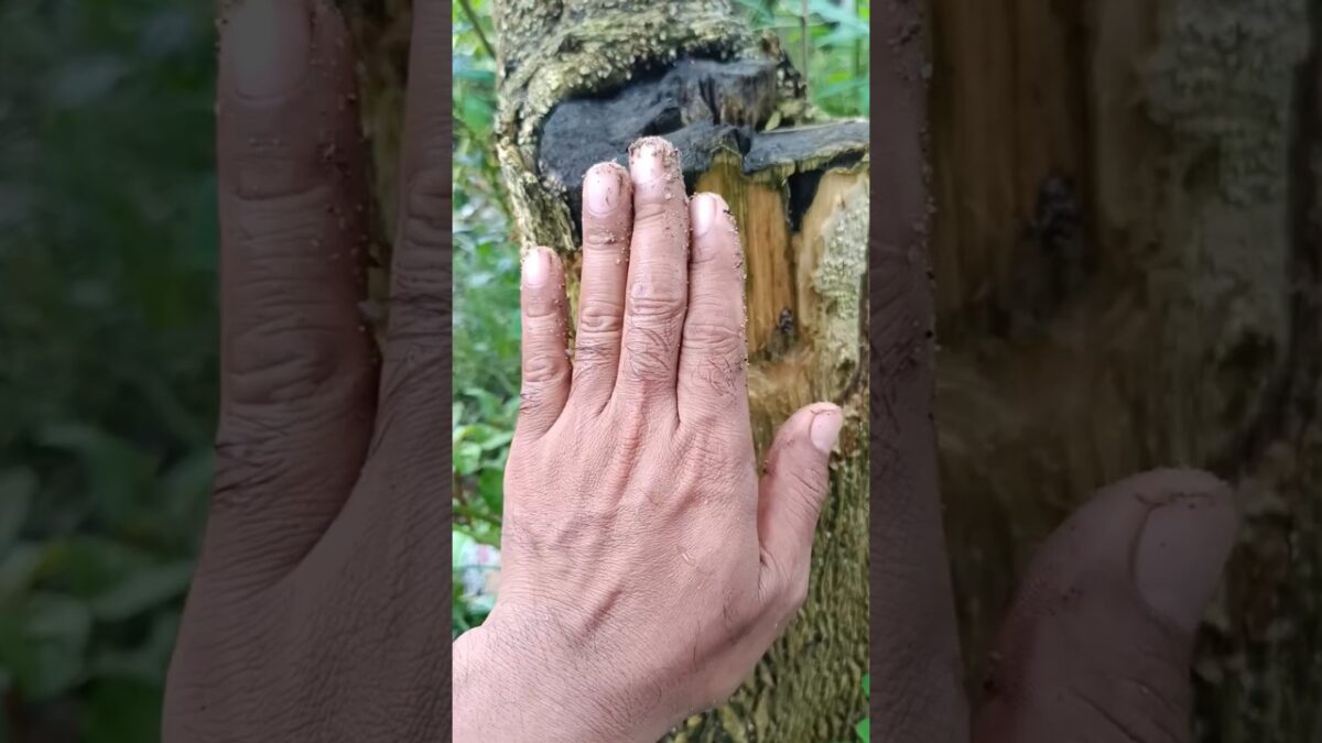 Can You Guess What’s in My Hand? 🐌