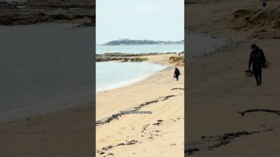 Coastal Walk in Japan Leads to a Beautiful Beach 🌊🇯🇵