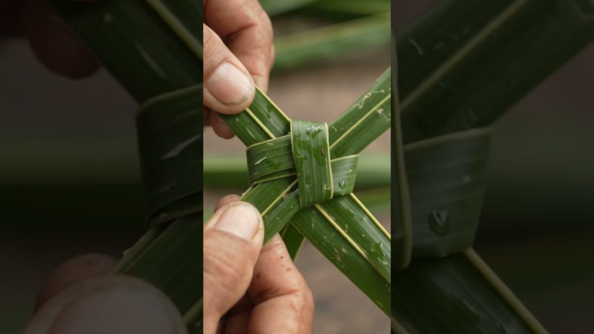 Coconut leaf ideas 😍😍 #diy #nature #asmr #fyp #fypシ #viral #shorts
