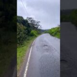 Guess the Road!  #srilanka #travel #trending #nature #asmr #vibes #youtubeshorts #srilankatravel