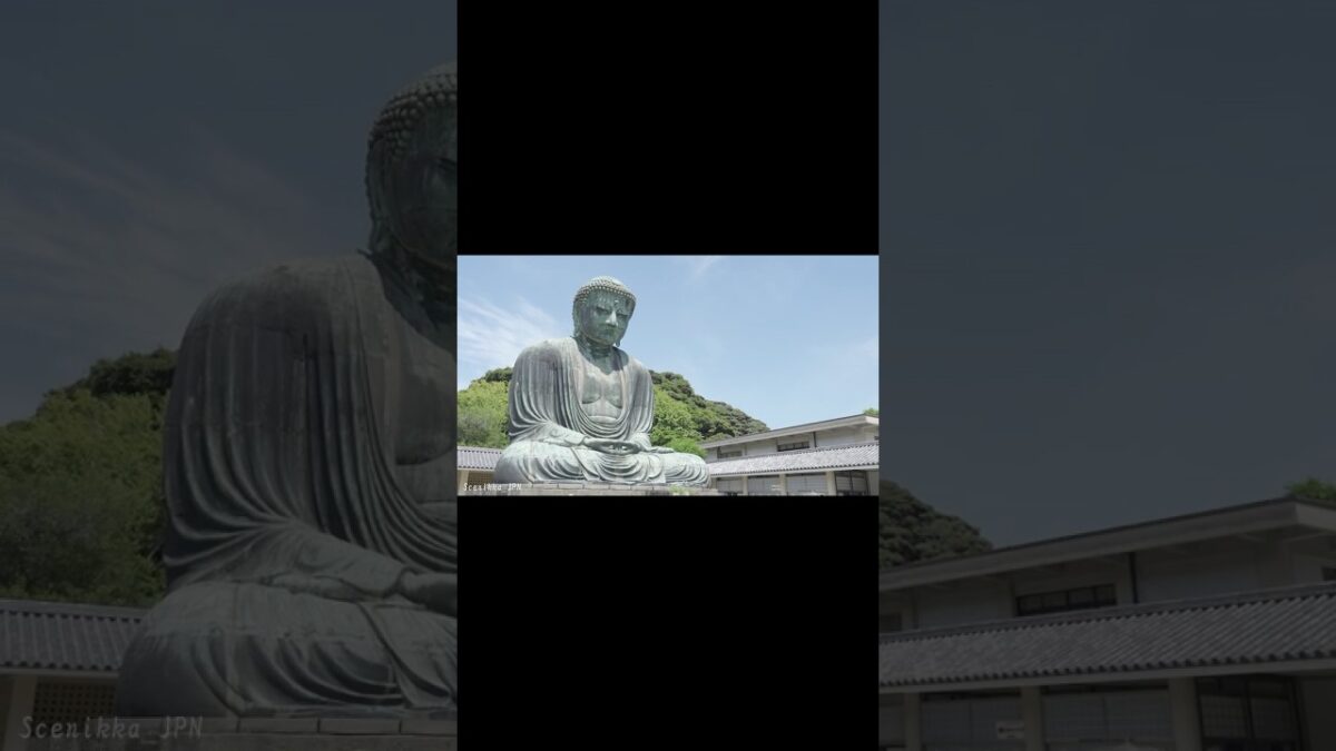 【鎌倉】Kamakura, Kanagawa – Summer in Japan | 古都の夏・寺社巡り【4K Shorts】