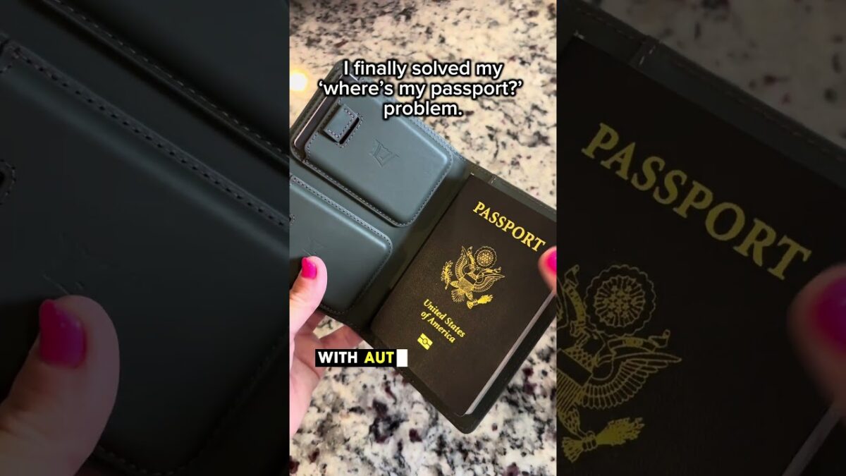 Passport wallet must have! #passportwallet #kingsloot #passport #travelessentials @kingsloot
